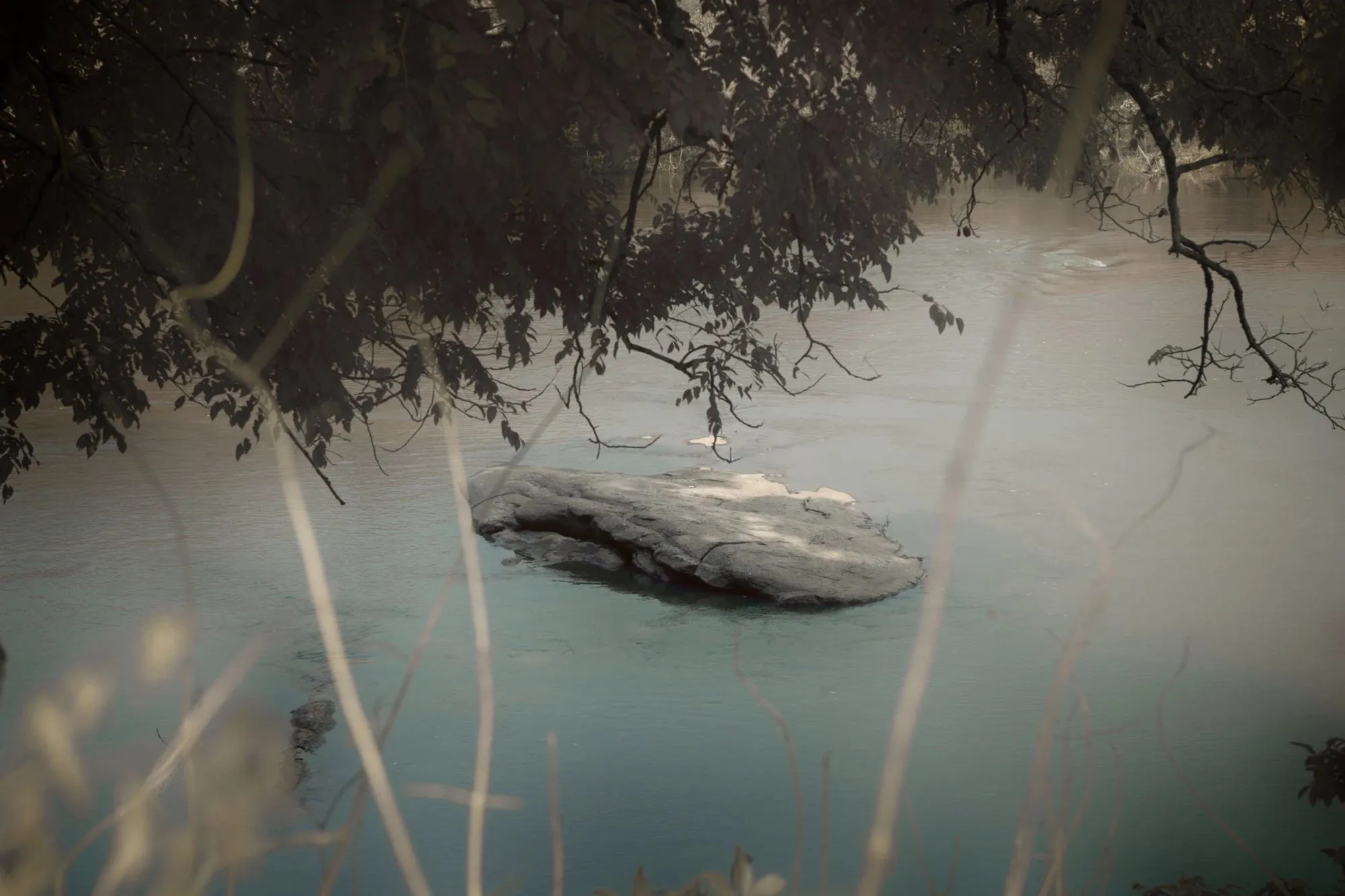 image_68bb8d5345a02 Our Top 7 Picks from New York’s Armory Show 2025