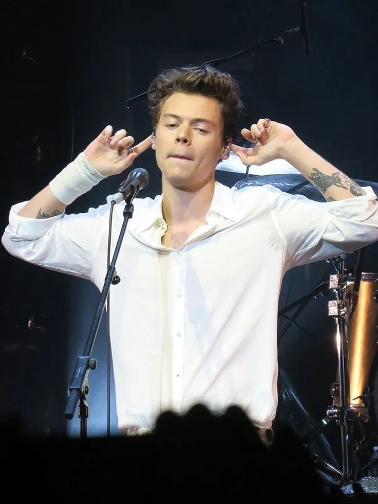 image_68bbb806e4de1 Harry Styles captivates millions on stage, but offstage, he just wants to… lounge around in worn-out clothes!