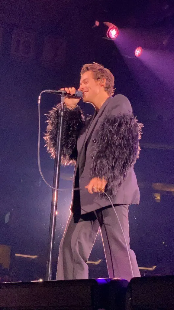 image_68bbba4a24fbb Harry Styles Shines on Stage with His Mesmerizing Voice – But Backstage Secrets Will Shock Fans!