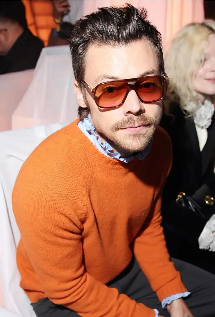 Harry Styles’ $100M Dream Home Sparks Furious Backlash From Upset Neighbors