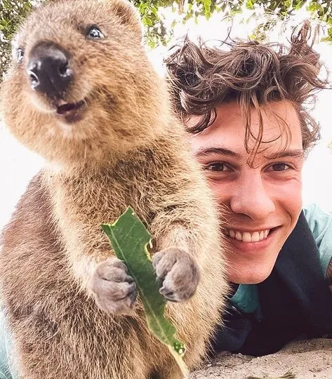 image_68be480789242 From Surfboards to Stadiums: Shawn Mendes’ Unseen Journey Through Australia Over the Years