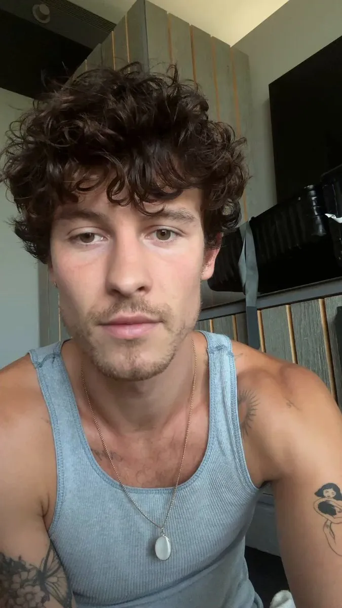 Fans Can’t Unsee the Startling Similarities Between Shawn Mendes and Aaliyah’s On-Camera Mannerisms