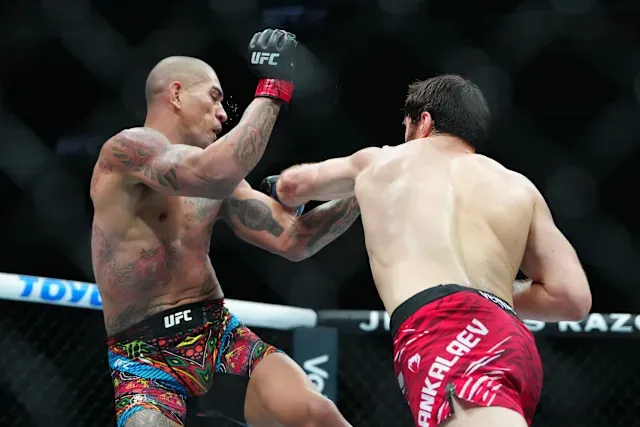 image_68be78bab7ea2 “No More Excuses” — Ankalaev Promises to Smash Pereira in the Rematch