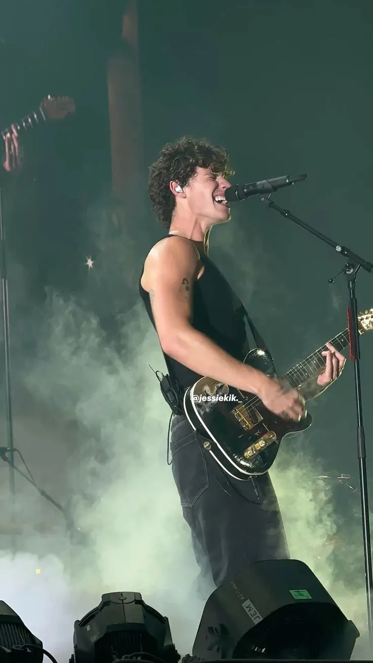 image_68be9edc4c012 Shawn Mendes Took the World by Storm – Yet Few Know the Quiet Struggles He Faced Offstage!