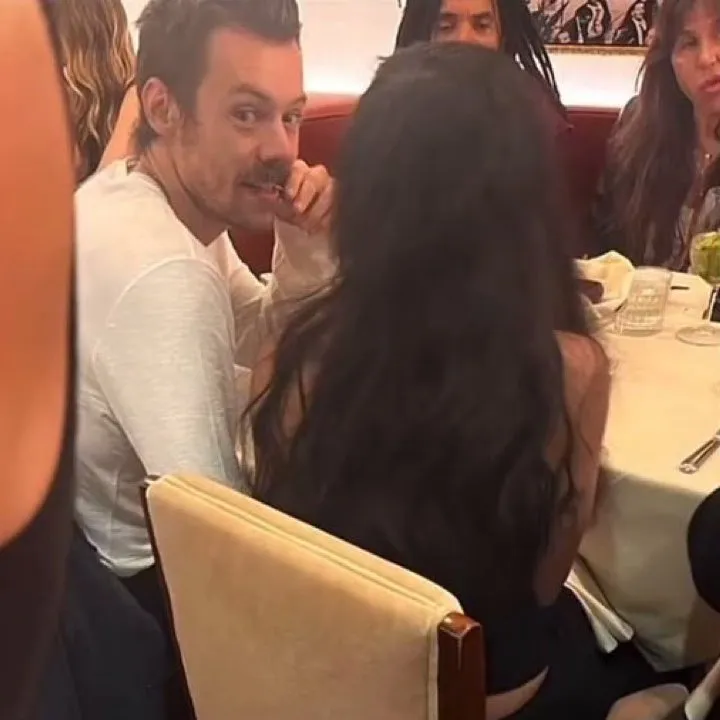 image_68bf841bcaacb Harry Styles Joins Zoë Kravitz and Her Legendary Dad Lenny for an Intimate Dinner That Has Everyone Talking