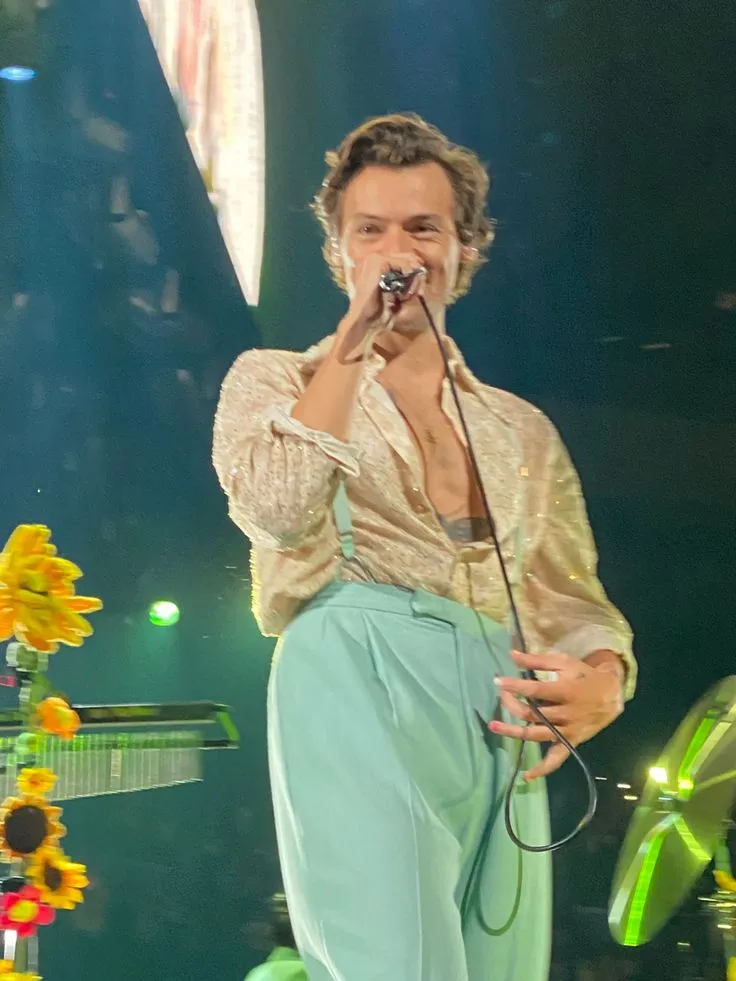 image_68bfdc63d12f4 You Won’t Believe How Harry Styles’ Mother, Anne Twist, Watched Her Son Grow from a Boy Singing Around the House to a Global Superstar – and the Reason She’s So Proud It Brings Her to Tears Will Move You!