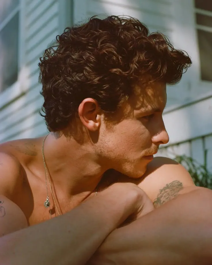 image_68bfe35ddb1dd Pop Star Shawn Mendes Takes a Break to Heal, and the Shocking Truth Behind His Decision Will Leave Everyone Stunned!