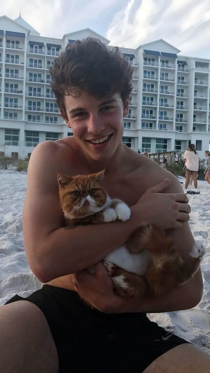 Pop Star Shawn Mendes Takes a Break to Heal, and the Shocking Truth Behind His Decision Will Leave Everyone Stunned!