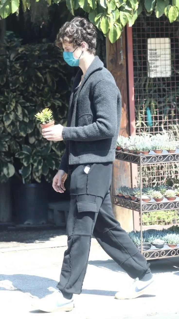 image_68c238791ca41 Shawn Mendes Faces Disturbing Obsession as Uninvited Fan Turns His Home into a Target of Chaos