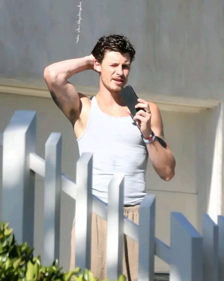 image_68c2387964bf7 Shawn Mendes Faces Disturbing Obsession as Uninvited Fan Turns His Home into a Target of Chaos