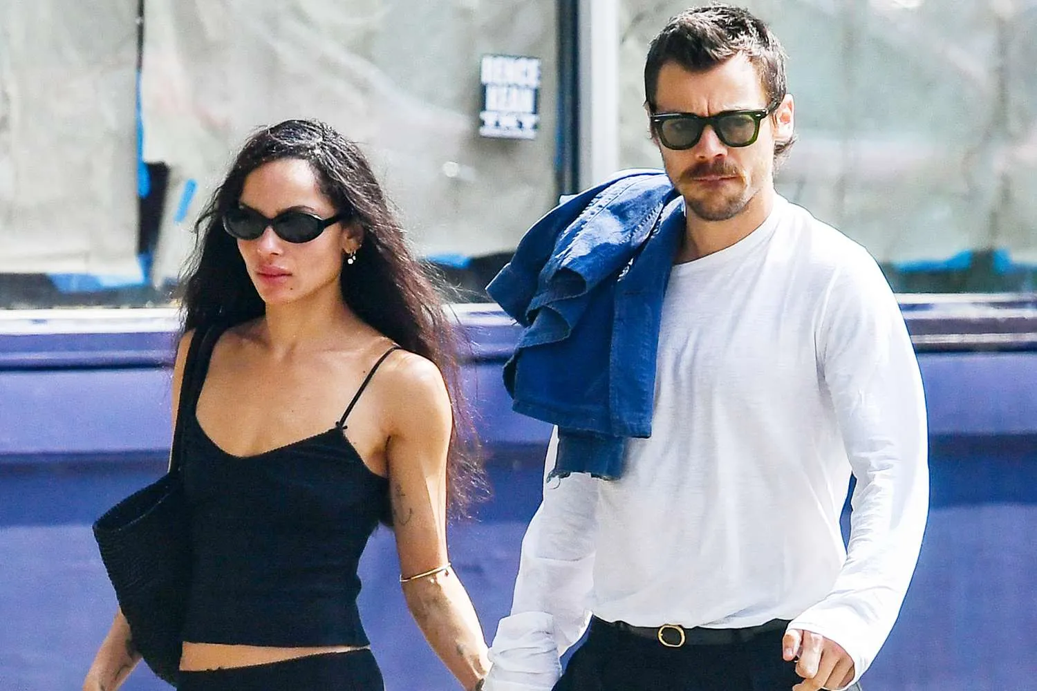 Harry Styles Steps Into the Family Circle as Zoë Kravitz Brings Him to Meet Lenny