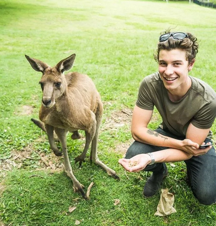 image_68c27ec87c9d5 Shawn Mendes Secretly Rents a House in a Celebrity-Filled Village – Locals Never Expected His Down-to-Earth Side