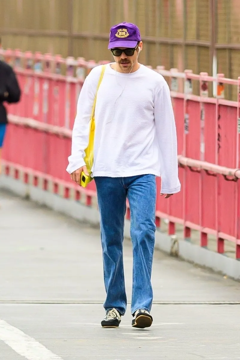 Harry Styles Roams New York in Solitude — Crossing the Williamsburg Bridge Under the Radar of Fans