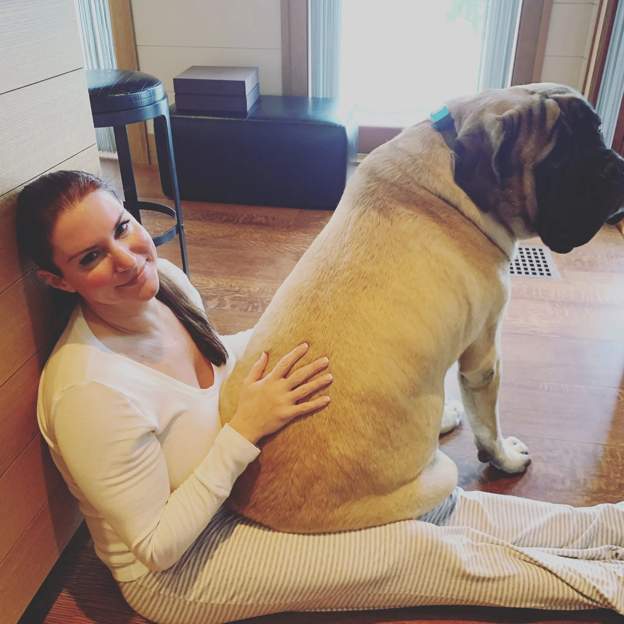 image_68c3e8211b102 Stephanie McMahon Shows Pure Joy Devoting Her Free Time to Playing and Bonding with Her Beloved Dogs
