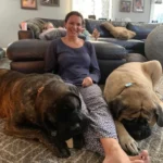 Stephanie McMahon Shows Pure Joy Devoting Her Free Time to Playing and Bonding with Her Beloved Dogs