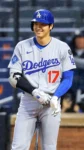 Inside the Luxury LA Rental Where Ohtani’s Global Superfans Stay While Chasing Baseball Dreamsh