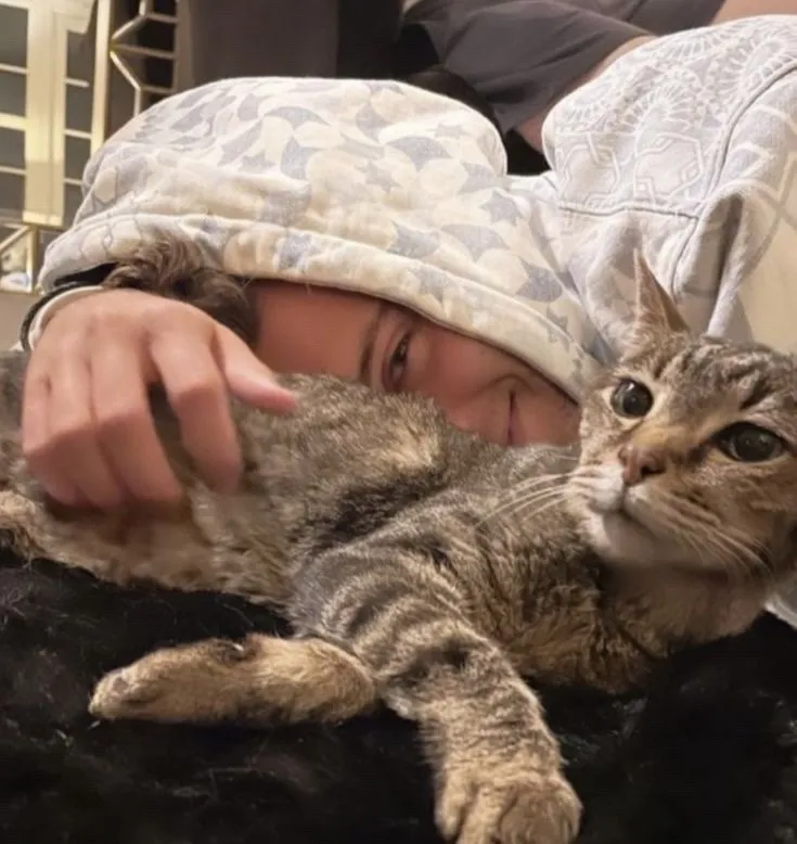 image_68c566edd92aa Joe Burrow Stuns Fans With Unbelievable Labor Day Weekend Act — Saving 19 Helpless Cats From a Tragic Fate