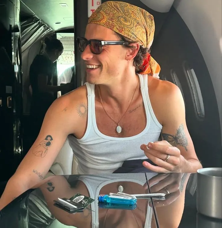 image_68c5b6599d3f1 Shawn Mendes Shares Joyful Airplane Snaps During Luxurious Getaway