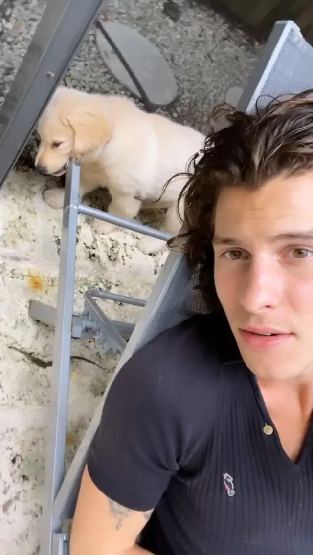 image_68c7784483579 Shawn Mendes Melts Hearts in Adorable Throwback Photo as Fans Obsess Over His Playful Paw Pose