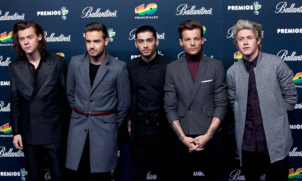 Life After One Direction: Where Has Global Fame Led the Band Members Now?