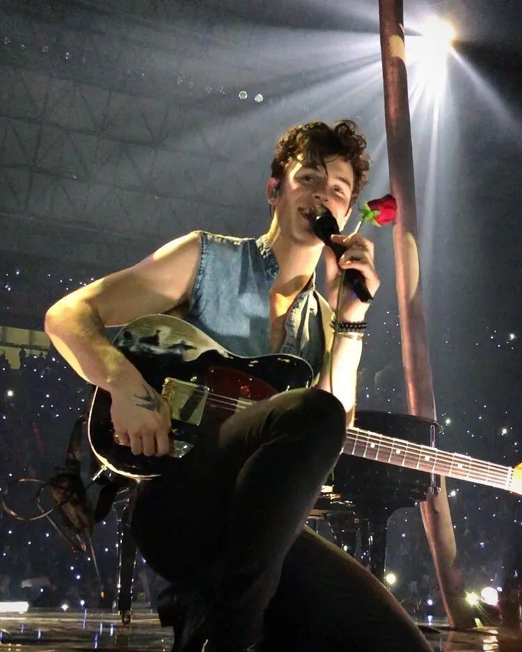 Shawn Mendes delivers an emotional performance in his new song “Why Why Why” – but the truth about his fear of becoming a father shocks fans!