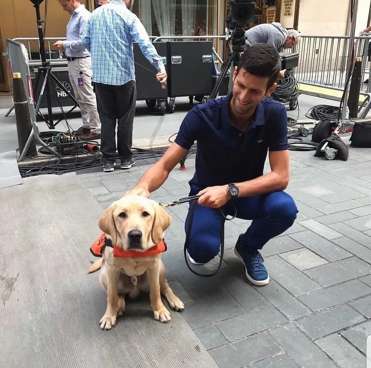 image_68c92204883c3 Novak Djokovic Melts Hearts With Love for Dogs — And His Bold Plan With Wife to Build a Shelter for Thousands