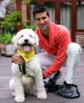 Novak Djokovic Melts Hearts With Love for Dogs — And His Bold Plan With Wife to Build a Shelter for Thousands