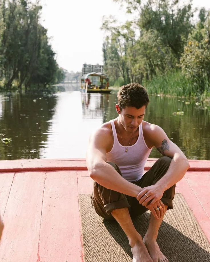 image_68ca385bc6218 Shawn Mendes shines on the world stage – but the truth behind his ‘good boy’ image will leave you speechless!