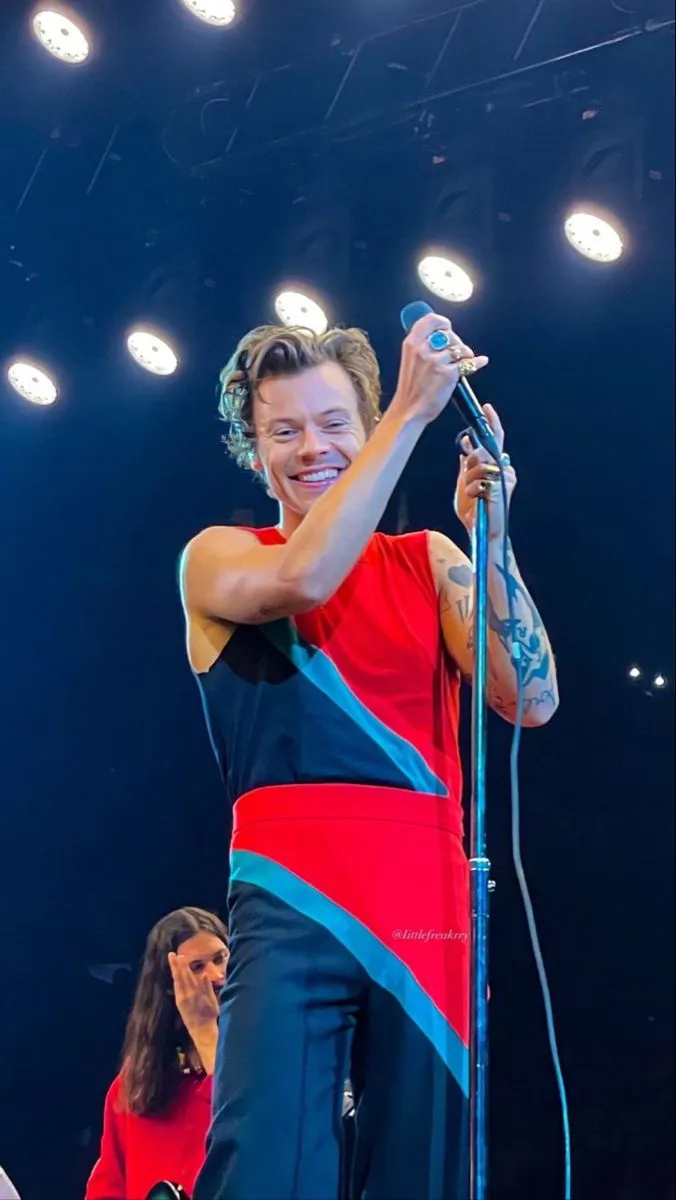 image_68ca6fe8d514f Harry Styles – A Gentleman in a World of Boys: Why the Whole World Admires Him