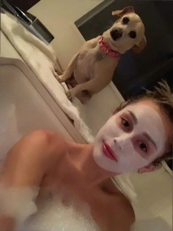 image_68ca7a0fbc8f2 Miley Cyrus Shares Adorable Photos Masking with Her Dog, Fans Can’t Handle the Cuteness