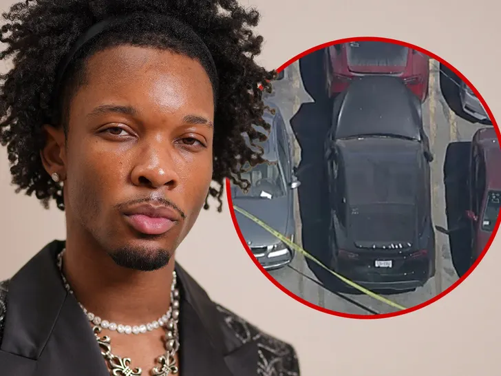 Dismembered Body Found in D4vd’s Car Confirm Identity