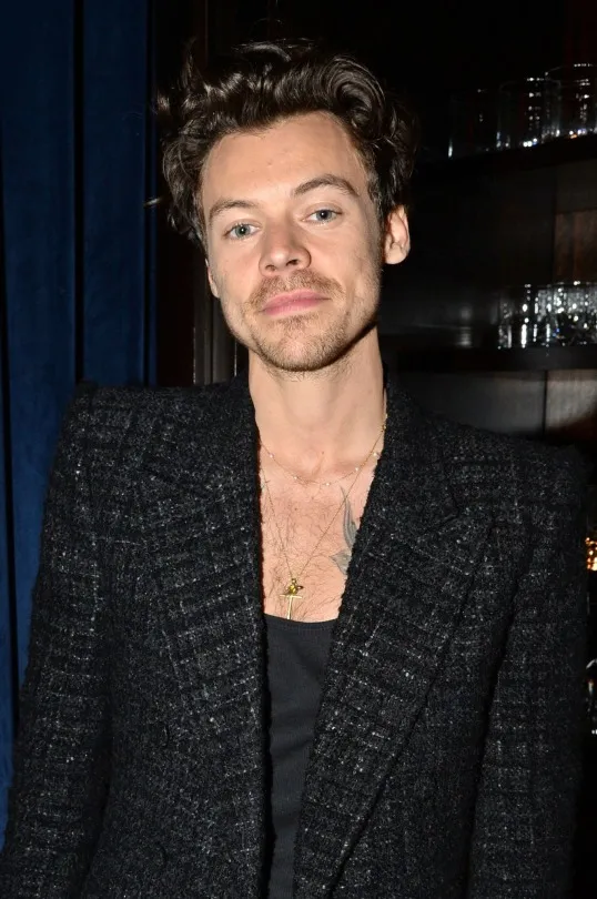 Carole Radziwill Reveals the Fairytale Moment Harry Styles Swept Her Away Like a Prince at a Friend’s Wedding