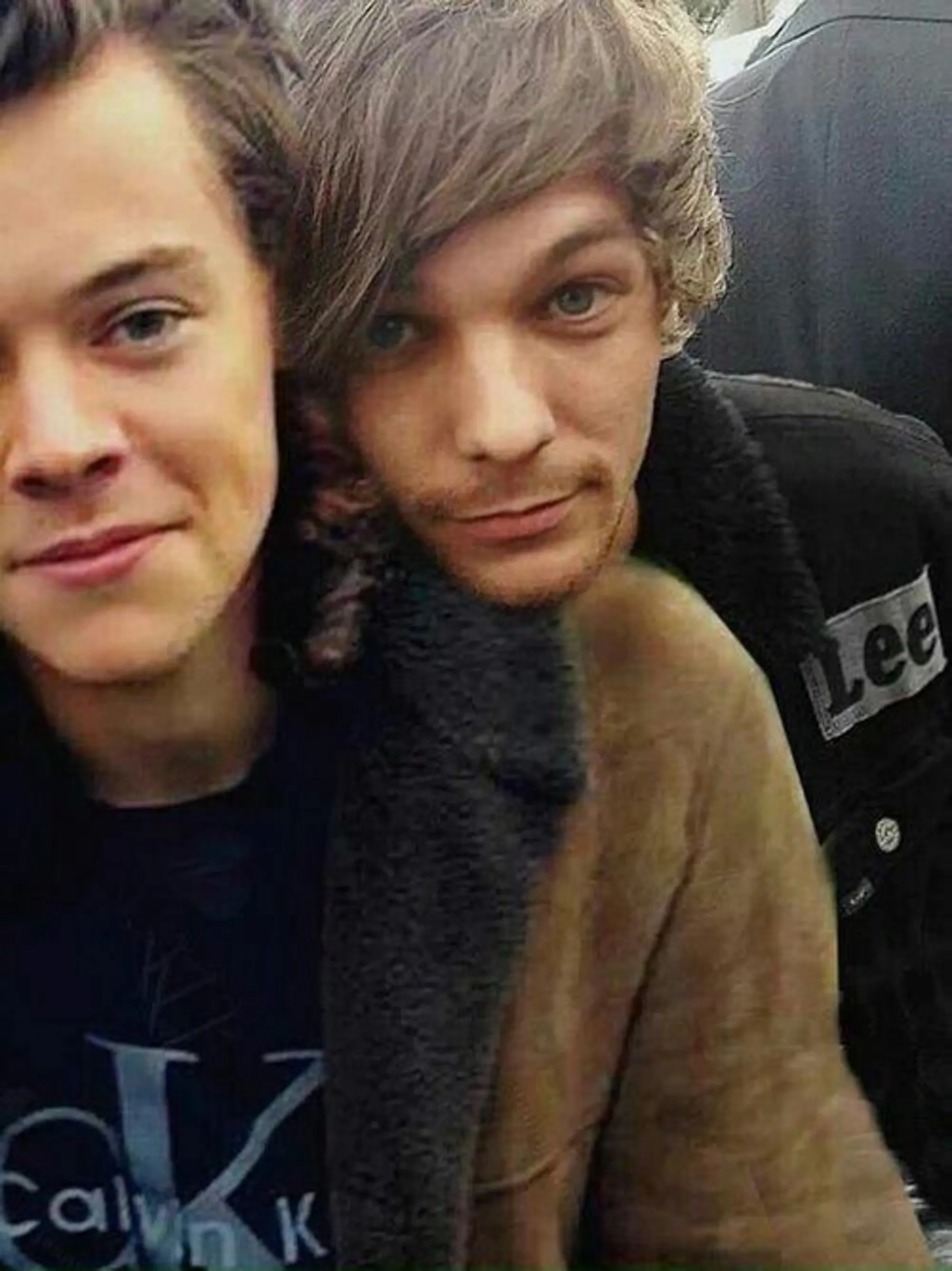 image_68cb6ba1e5473 Did Louis Tomlinson and Harry Styles Hide a Forbidden Romance Back in 2013?