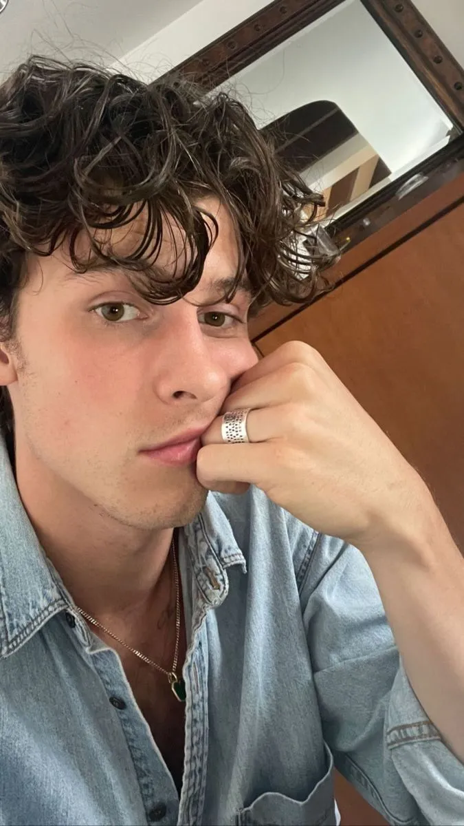 image_68cd149b7ddaf Shawn Mendes and His Trademark Rosy Cheeks: Fans Call Him the ‘Adorably Drunk-Looking’ Star