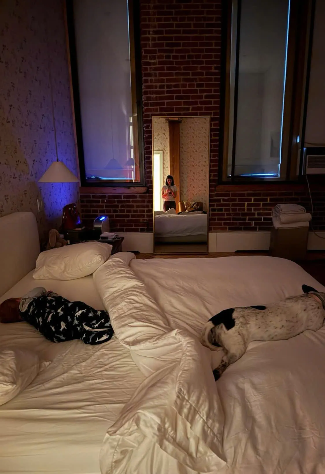 image_68d0f01eac7d9 Alexandra Daddario’s New Co-Stars Are Stealing All the Spotlight—And They Can’t Even Talk!