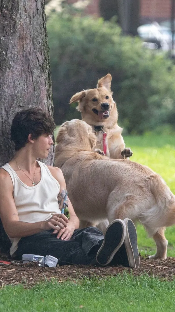 image_68d20035cceb7 Shawn Mendes Retreats From Spotlight to Reconnect With His True Self