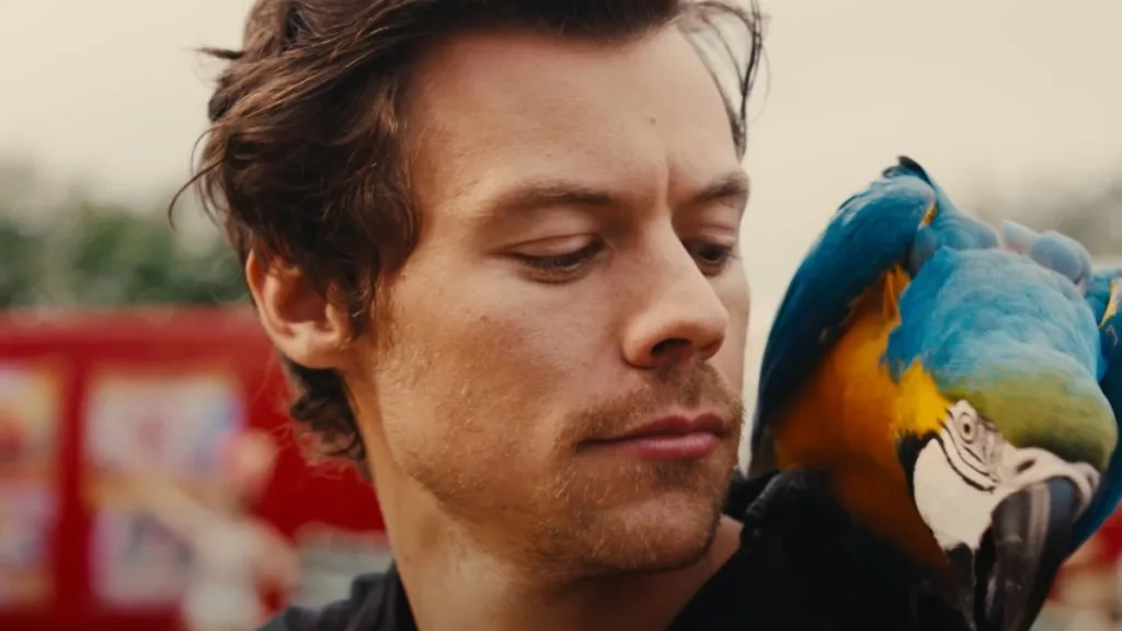 Harry Styles Strange Aliases Have Been Discovered Shocking The Fan Community
