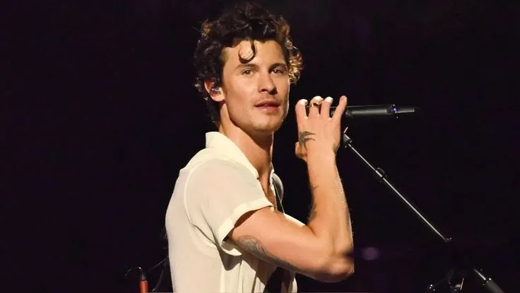 Shawn Mendes Suddenly Stopped His Toronto Show—What He Said Next Sparked Wild Reactions