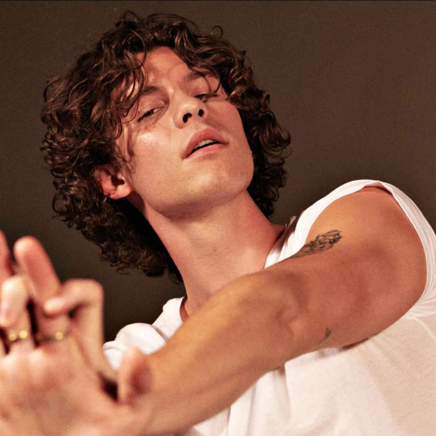 Shawn Mendes Just Dropped Big News — And Fans Everywhere Are Scrambling to Keep Up