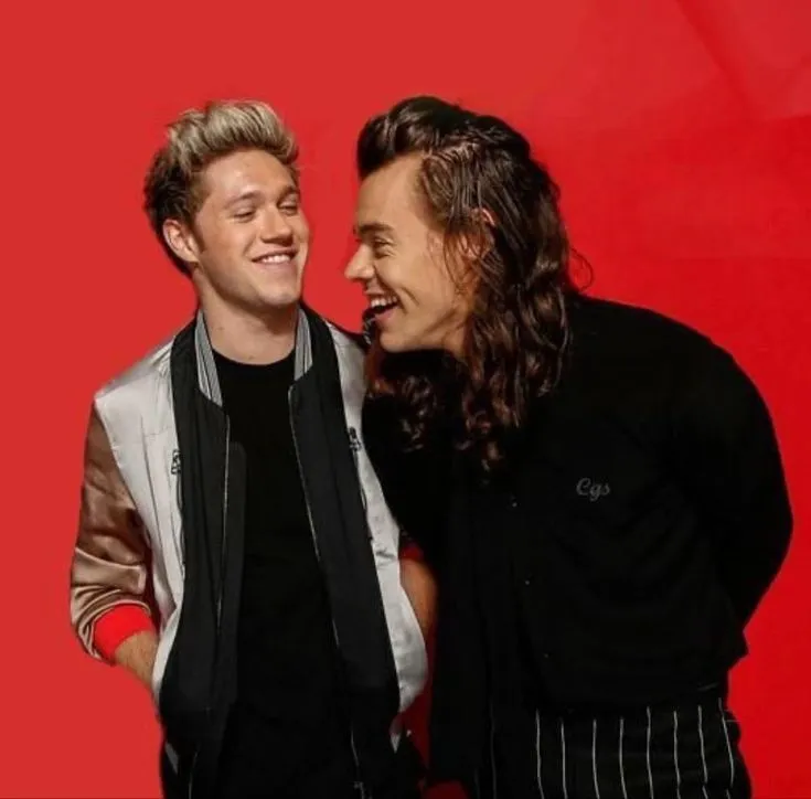 image_68dba181eeebb Netizens Shocked: Are Harry Styles And Niall Horan Hiding A Secret After The Noisy Beach Trip?