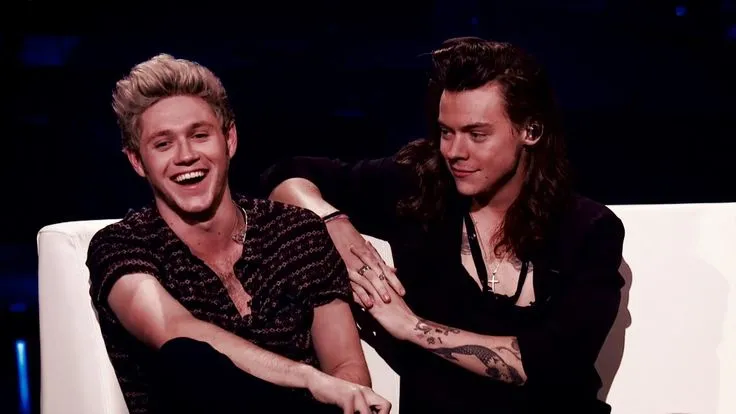 Netizens Shocked: Are Harry Styles And Niall Horan Hiding A Secret After The Noisy Beach Trip?