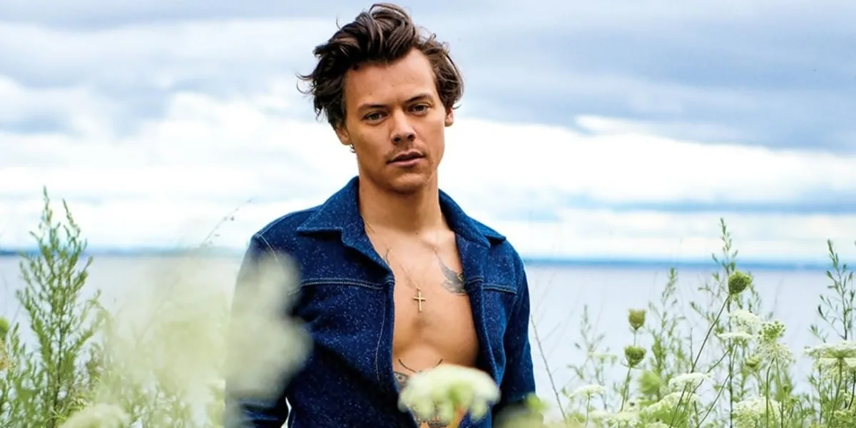 image_68dc82f54eb6d Behind The Scenes: Harry Styles Reveals The Emotional Trauma That Made Him Want To Abandon His Own Name