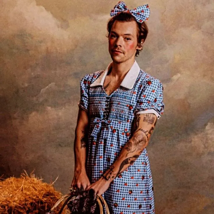 image_68dcd911c208e Harry Styles Breaks All Gender Stereotypes – New Decision Has Hollywood Talking