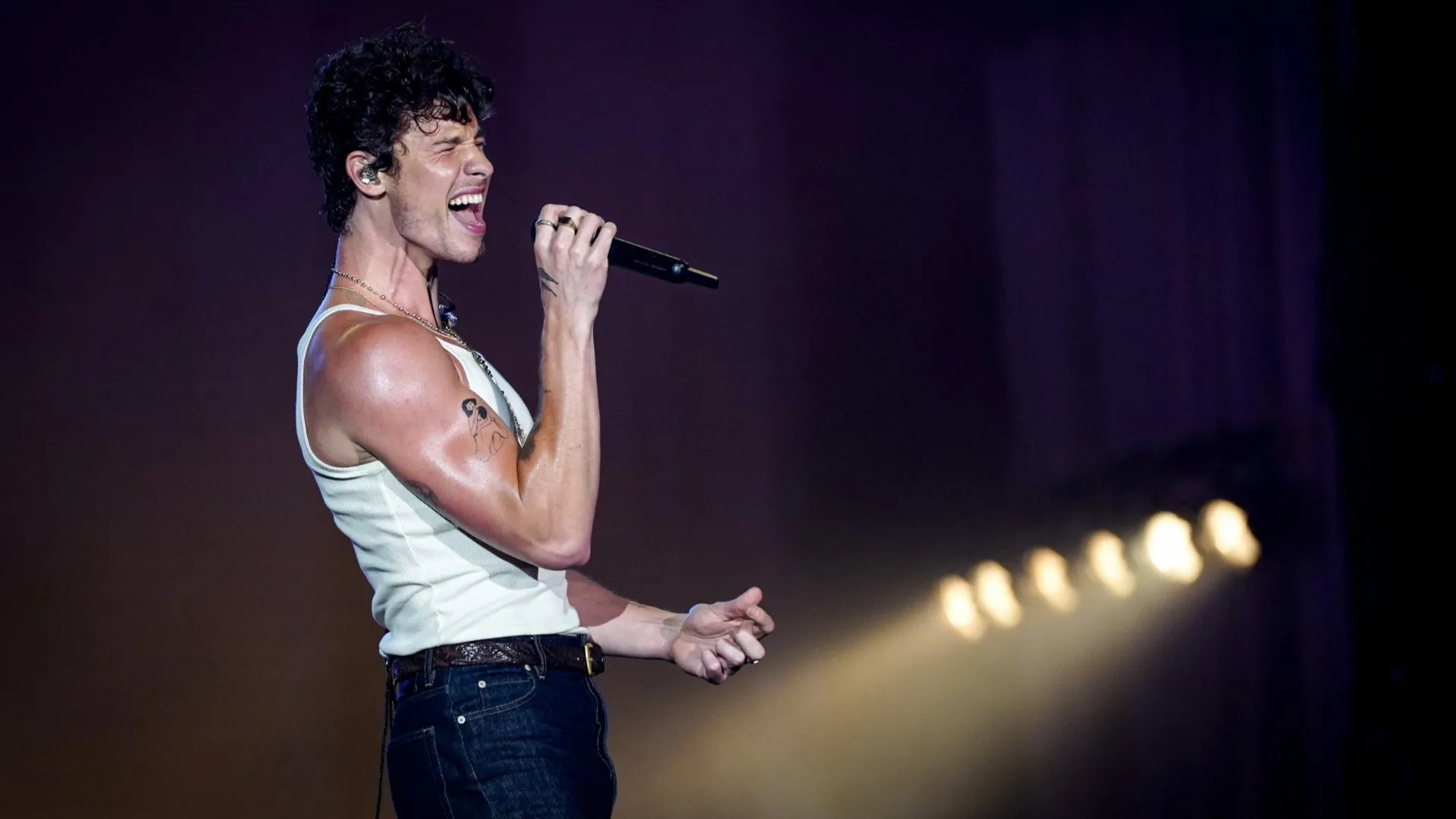 image_68de1a2bc73d4 Shawn Mendes Debuts an Unreleased Song on Tour—Fans Lose Their Minds