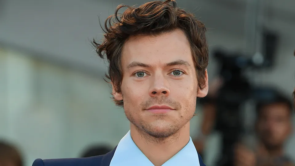 Chicago Goes Absolutely CRAZY as Harry Styles Drops His Pleasing Express Line