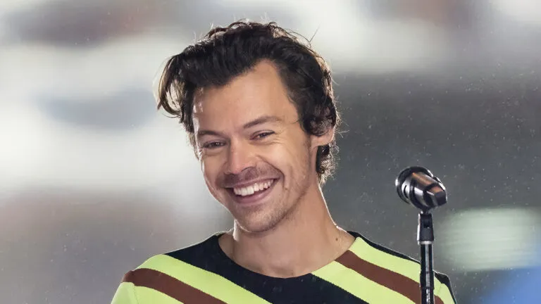 Harry Styles Has a Secret Plan for His Career — And Fans Are Dying to Know