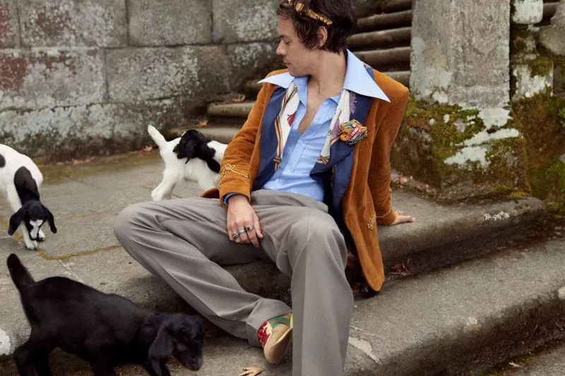 image_68df87772af05 He’ll Always Stop: Harry Styles’ Sweet Habit With Dogs Is Melting The Internet
