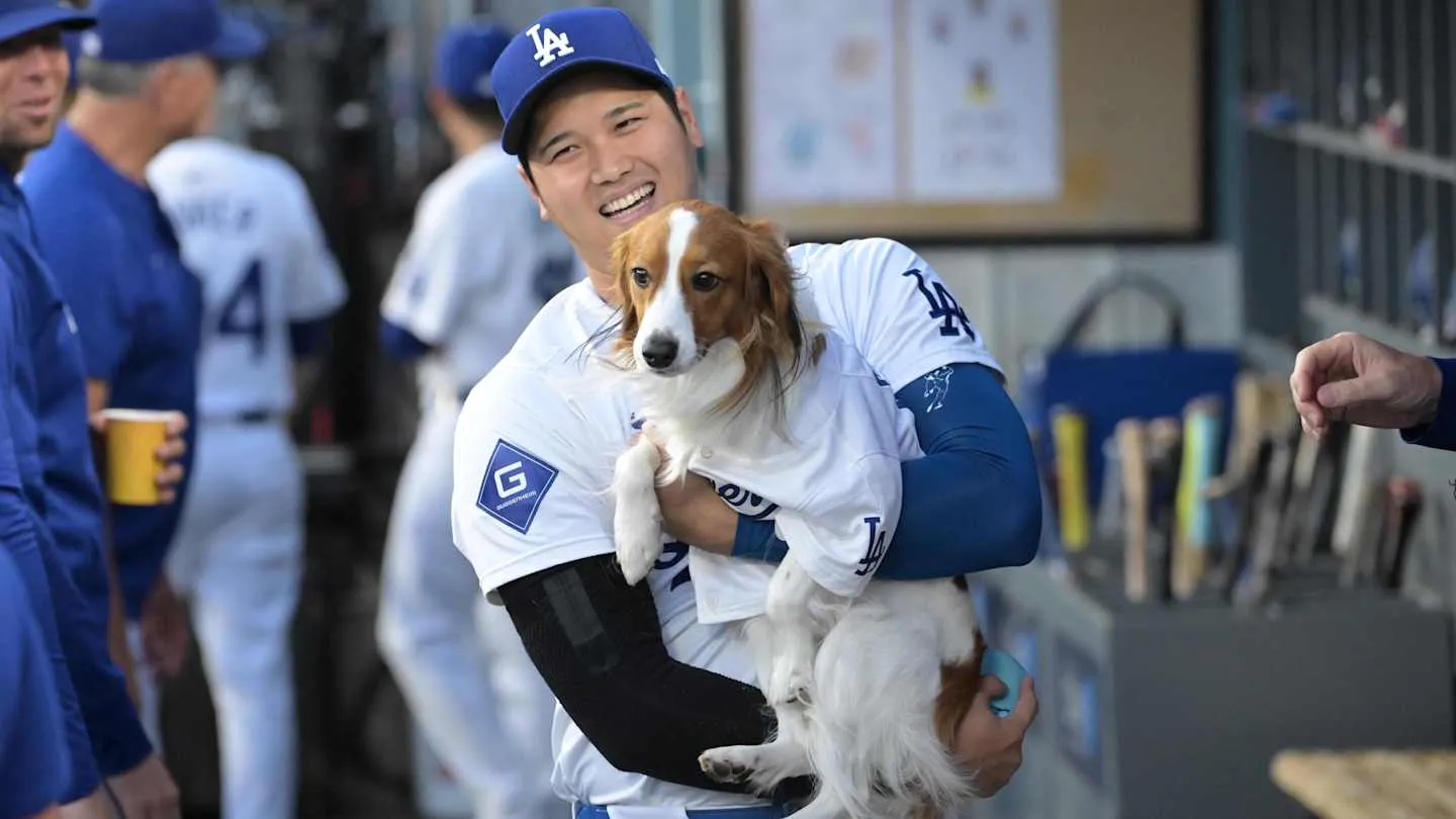 image_68e0861b0c5d4 Shohei Ohtani’s $5M Surprise: Building A Luxury Haven For Stray Dogs In California