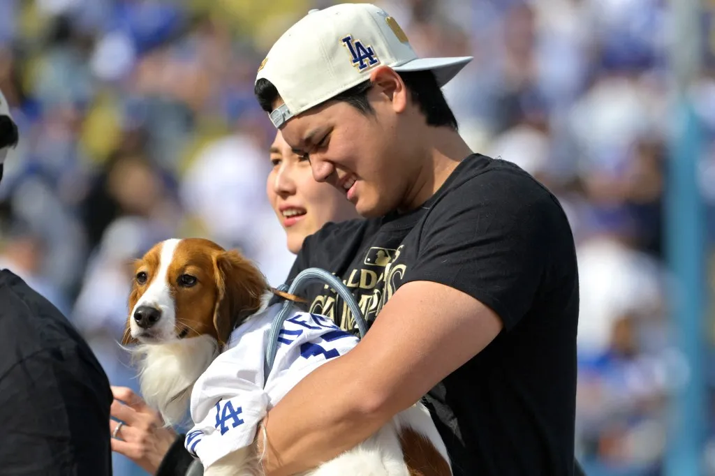 image_68e0861b94d8c Shohei Ohtani’s $5M Surprise: Building A Luxury Haven For Stray Dogs In California