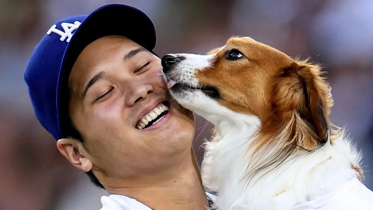 image_68e0887d6872f Shohei Ohtani’s Greatest Win Yet – A $5M Dog Sanctuary For California’s Strays